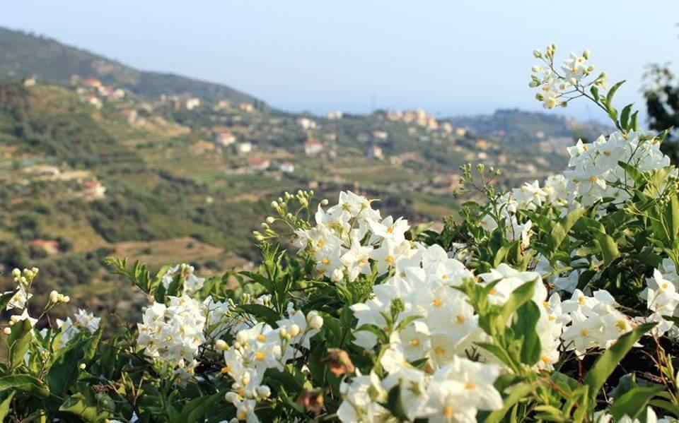 Agriturismo Da Lui Bordighera Eksteriør billede